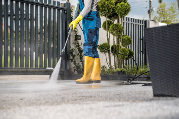 Best House Pressure Washing  in Waukon, IA