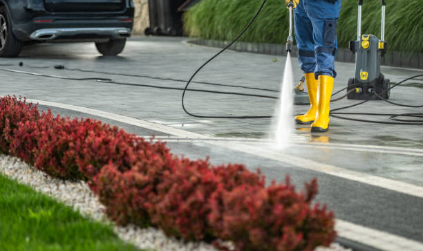 Best Deck Cleaning Services  in Waukon, IA