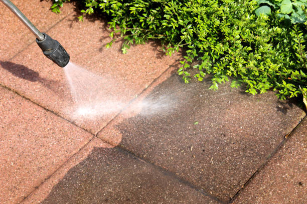 Best Exterior Home Cleaning  in Waukon, IA